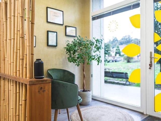 Fisioterapia y actividades para el bienestar